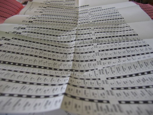 election 2007 blanc1